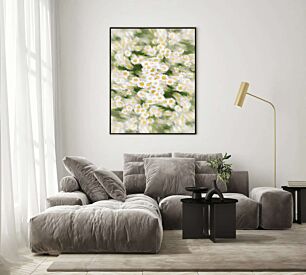 Πίνακας, κοντινό πλάνο ενός λευκού και κίτρινου λουλουδιού