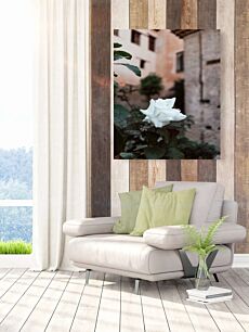 Πίνακας, κοντινό πλάνο ενός λευκού λουλουδιού κοντά σε ένα κτίριο