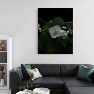 Πίνακας, κοντινό πλάνο λευκού λουλουδιού με πράσινα φύλλα
