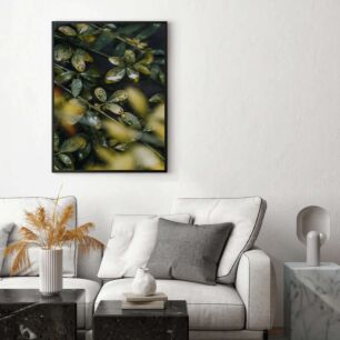 Πίνακας, από κοντά φύλλα με σταγόνες νερού πάνω τους