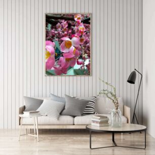 Πίνακας, κοντινό πλάνο με ροζ λουλούδια σε ένα δέντρο