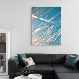 Πίνακας, κοντινό πλάνο με λίγο γρασίδι με γαλάζιο ουρανό στο φόντο