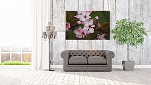 Πίνακας, κοντινό πλάνο με μερικά ροζ λουλούδια σε ένα δέντρο