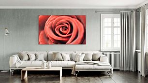 Πίνακας, από κοντά ένα κόκκινο τριαντάφυλλο
