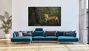 Πίνακας, δυο αλεπούδες που στέκονται η μια δίπλα στην άλλη