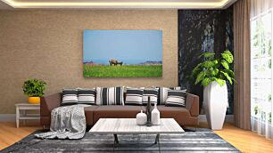 Πίνακας, μια αγελάδα που στέκεται πάνω από ένα καταπράσινο χωράφι