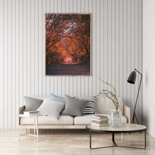 Πίνακας, ένας χωματόδρομος που περιβάλλεται από δέντρα με πορτοκαλί φύλλα