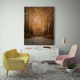 Πίνακας, ένας χωματόδρομος περιτριγυρισμένος από δέντρα με κίτρινα φύλλα