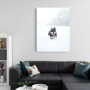 Πίνακας, ένας σκύλος που περπατά στο χιόνι