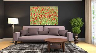 Πίνακας, ένα χωράφι γεμάτο με πολλά κόκκινα λουλούδια