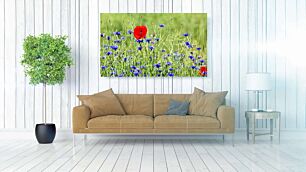 Πίνακας, ένα χωράφι γεμάτο μπλε και κόκκινα λουλούδια