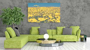 Πίνακας, ένα χωράφι γεμάτο κίτρινα λουλούδια κάτω από έναν γαλάζιο ουρανό