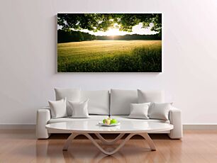 Πίνακας, ένα χωράφι με γρασίδι με τον ήλιο να λάμπει μέσα από τα δέντρα