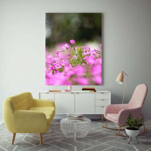 Πίνακας, ένα χωράφι με ροζ λουλούδια με θολό φόντο