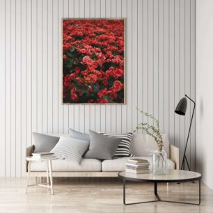 Πίνακας, ένα χωράφι με κόκκινα λουλούδια με πράσινα φύλλα