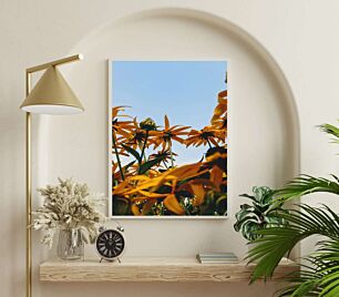 Πίνακας, ένα χωράφι με ηλιοτρόπια με φόντο τον γαλάζιο ουρανό