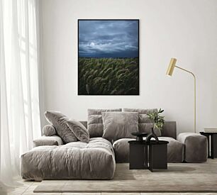 Πίνακας, ένα χωράφι με ψηλό γρασίδι κάτω από έναν συννεφιασμένο ουρανό