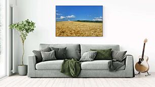 Πίνακας, ένα χωράφι με σιτάρι με έναν γαλάζιο ουρανό στο φόντο