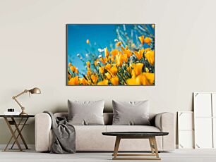 Πίνακας, ένα χωράφι με κίτρινα λουλούδια με γαλάζιο ουρανό στο φόντο