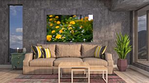 Πίνακας, ένα χωράφι με κίτρινα λουλούδια με πράσινα φύλλα