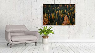 Πίνακας, ένα δάσος γεμάτο με πολλά διαφορετικά χρωματιστά δέντρα