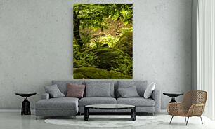 Πίνακας, ένα δάσος γεμάτο με πολλά πράσινα βρύα καλυμμένα με βρύα