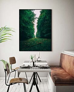 Πίνακας, ένα δάσος γεμάτο με πολλά πράσινα δέντρα