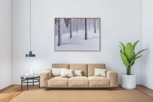 Πίνακας, ένα δάσος γεμάτο με πολλά ψηλά δέντρα καλυμμένα με χιόνι