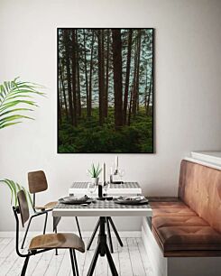 Πίνακας, ένα δάσος γεμάτο με πολλά δέντρα δίπλα σε ένα σώμα νερού