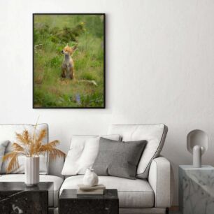 Πίνακας, μια αλεπού που στέκεται στα πίσω πόδια της στο γρασίδι