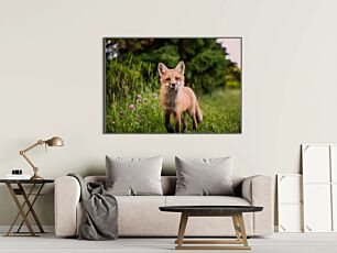 Πίνακας, μια αλεπού που στέκεται πάνω από ένα καταπράσινο χωράφι