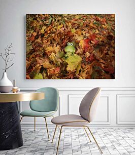 Πίνακας, ένας βάτραχος κάθεται σε ένα σωρό φύλλα