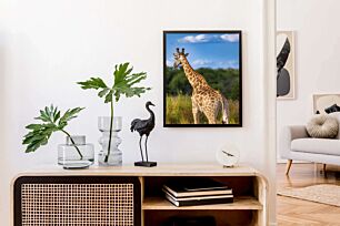 Πίνακας, μια καμηλοπάρδαλη που στέκεται σε ένα χωράφι με ψηλό γρασίδι