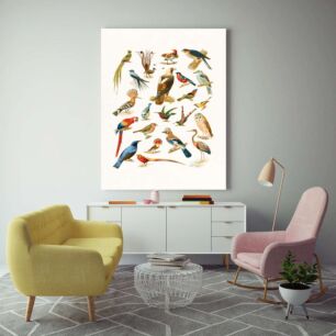 Πίνακας, μια ομάδα πουλιών που κάθονται το ένα πάνω στο άλλο