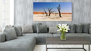 Πίνακας, μια ομάδα νεκρών δέντρων που στέκονται στη μέση μιας ερήμου