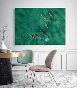 Πίνακας, μια ομάδα δελφινιών που κολυμπούν στον ωκεανό