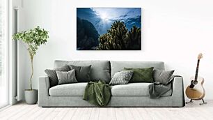 Πίνακας, μια ομάδα ψαριών που κολυμπούν πάνω από έναν κοραλλιογενή ύφαλο