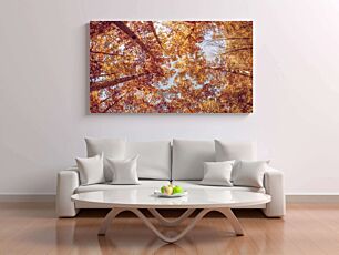 Πίνακας, μια ομάδα δέντρων με κίτρινα και κόκκινα φύλλα