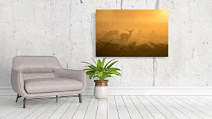 Πίνακας, ένα κοπάδι ελαφιών που στέκεται πάνω από ένα χωράφι καλυμμένο με γρασίδι