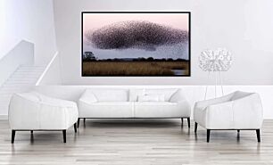 Πίνακας, ένα μεγάλο κοπάδι πουλιών που πετούν πάνω από ένα χωράφι