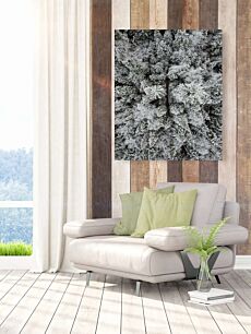 Πίνακας, μια μεγάλη ομάδα δέντρων καλυμμένα με χιόνι