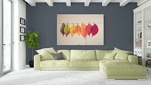 Πίνακας, μια σειρά από φύλλα που κρέμονται σε μια γραμμή ρούχων