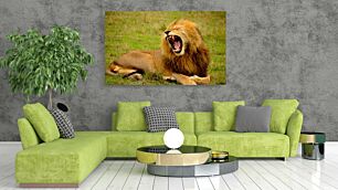 Πίνακας, ένα λιοντάρι χασμουριέται ενώ είναι ξαπλωμένο στο γρασίδι