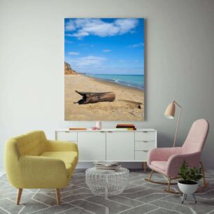 Πίνακας, ένα κούτσουρο πάνω από μια αμμώδη παραλία