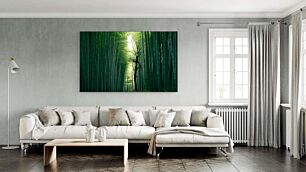 Πίνακας, ένα καταπράσινο δάσος γεμάτο με πολλά δέντρα