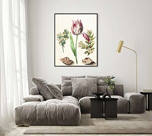 Πίνακας, ένας πίνακας με λουλούδια και κοχύλια σε λευκό φόντο