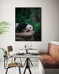 Πίνακας, μια αρκούδα panda ξαπλωμένη πάνω σε έναν βράχο