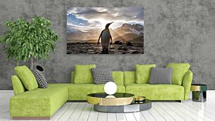 Πίνακας, ένας πιγκουίνος που στέκεται πάνω από μια αμμώδη παραλία