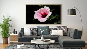 Πίνακας, ένα ροζ και λευκό λουλούδι με πράσινα φύλλα