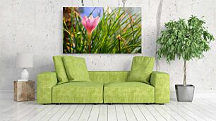 Πίνακας, ένα ροζ λουλούδι που κάθεται στη μέση ενός καταπράσινου χωραφιού